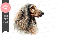 Portrait of an afghan hound Product Image 1
