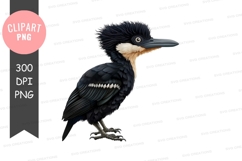 Black-capped night heron clipart png Product Image 1