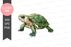Green turtle clipart png Product Image 1