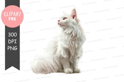Graceful white cat Product Image 1