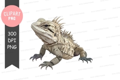Bearded dragon clipart png Product Image 1