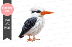 White bird with orange beak clipart png Product Image 1