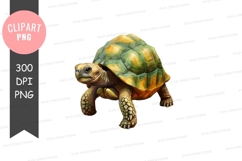 Tortoise clipart png Product Image 1