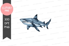 Great white shark clipart png Product Image 1