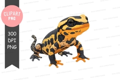 Yellow-bellied toad clipart png Product Image 1