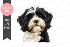 Portrait of a black and white dog Product Image 1