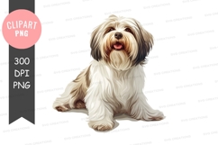 Happy shih tzu dog clipart png Product Image 1