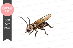 Illustrated insect clipart png Product Image 1