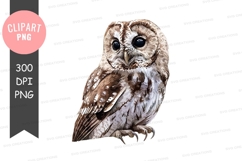Brown owl clipart png Product Image 1
