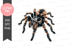 Vibrant tarantula clipart png Product Image 1