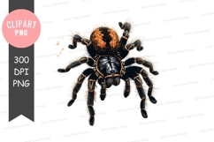 Black and orange tarantula clipart png Product Image 1