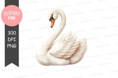 Graceful swan clipart png Product Image 1