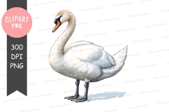 Graceful swan clipart png Product Image 1