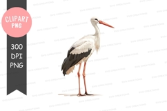 White stork clipart png Product Image 1