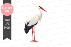 White stork clipart png Product Image 1
