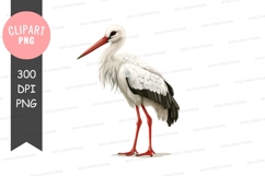 White stork clipart png Product Image 1