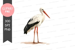 White stork clipart png Product Image 1