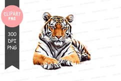 Majestic tiger clipart png Product Image 1