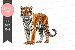 Majestic tiger clipart png Product Image 1