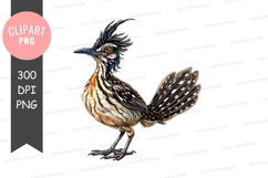 Roadrunner bird clipart png Product Image 1
