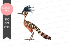Roadrunner bird clipart png Product Image 1