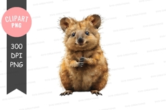 Cute baby animal clipart png Product Image 1