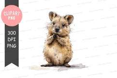 Cute fennec fox clipart png Product Image 1