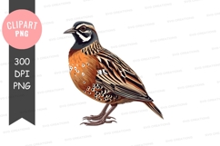 Brown and black feathered bird clipart png Product Image 1