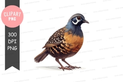 Brown and blue bird clipart png Product Image 1
