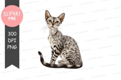Graceful bengal cat sitting Product Image 1