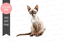 Elegant siamese cat clipart png Product Image 1