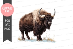 Musk ox clipart png Product Image 1