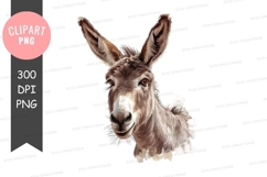 Portrait of a donkey Product Image 1