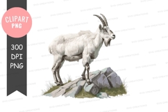 Mountain goat on rocky terrain Product Image 1
