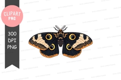 Stylized moth clipart png Product Image 1