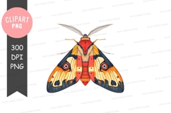 Vibrant moth clipart png Product Image 1