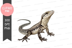 Illustrated lizard clipart png Product Image 1
