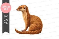 Brown mustelid clipart png Product Image 1