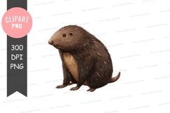 Brown porcupine clipart png Product Image 1