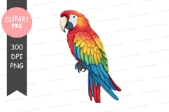 Vibrant parrot clipart png Product Image 1