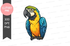 Vibrant macaw parrot clipart png Product Image 1