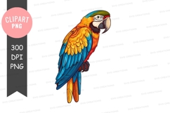 Vibrant macaw parrot clipart png Product Image 1