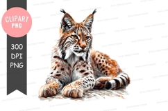 Lynx clipart png Product Image 1
