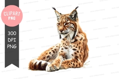 Lynx clipart png Product Image 1