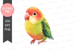 Colorful parrot clipart png Product Image 1