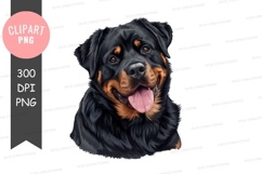 Portrait of a rottweiler dog Product Image 1