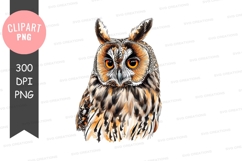 Portrait of an owl Product Image 1