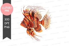 Pair of lionfish Product Image 1