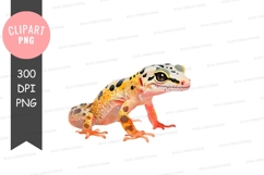 Vibrant colored frog clipart png Product Image 1
