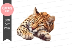 Sleeping leopard clipart png Product Image 1